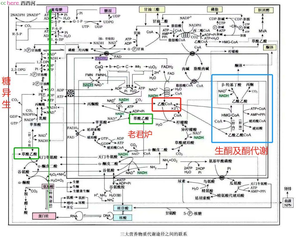 点看全图