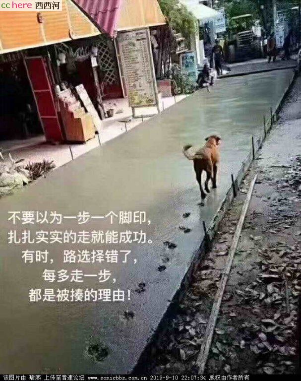 点看全图