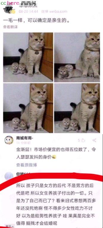 点看全图