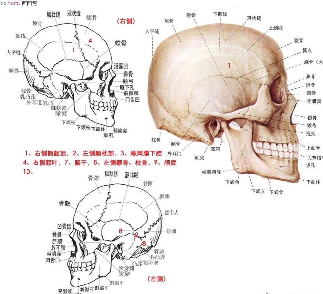 点看全图