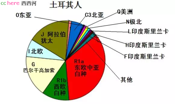 点看全图