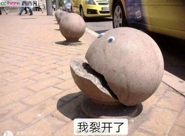 点看全图