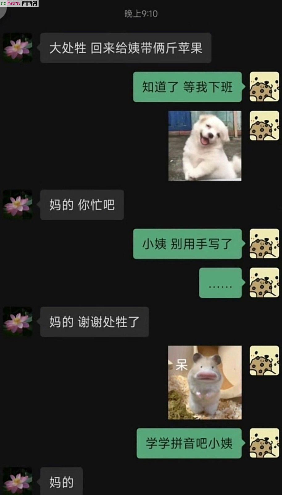 点看全图