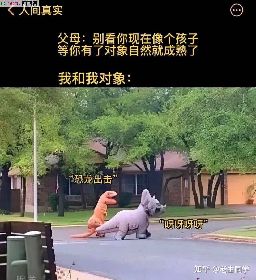 点看全图